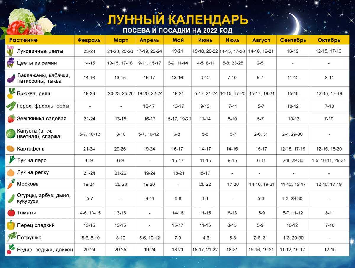 Лунный календарь для бизнеса на февраль 2023 года