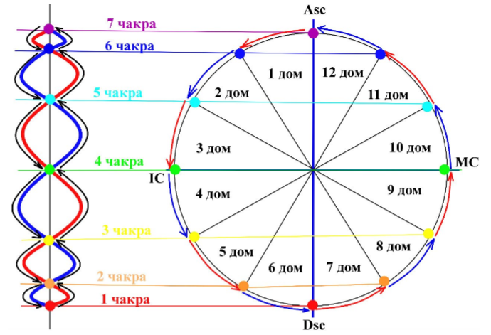 Солнце в 11 доме (одиннадцатом) гороскопа у мужчин и женщин: влияние транзита на планеты и знаки зодиака, джйотиш
