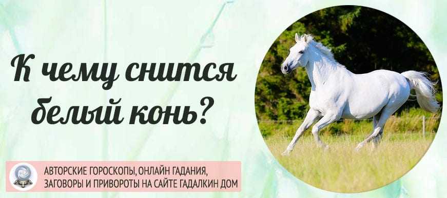 Magiachisel.ru: сонник.что означает когда снится лошадь. к чему снится лошадь. видеть это во сне.
