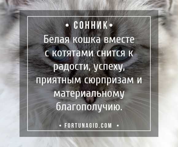 «обувь к чему снится во сне? если видишь во сне обувь, что значит?»