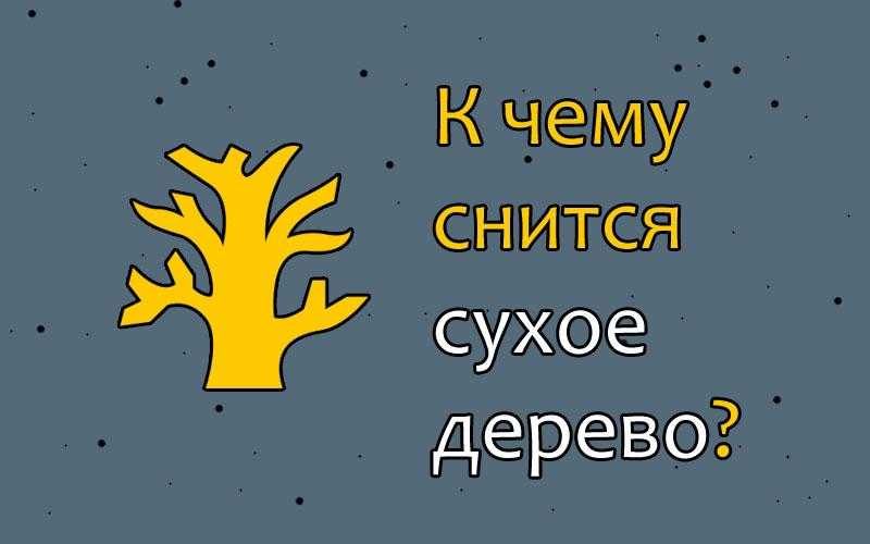Сонник дерево или к чему снится дерево. видеть во сне дерево