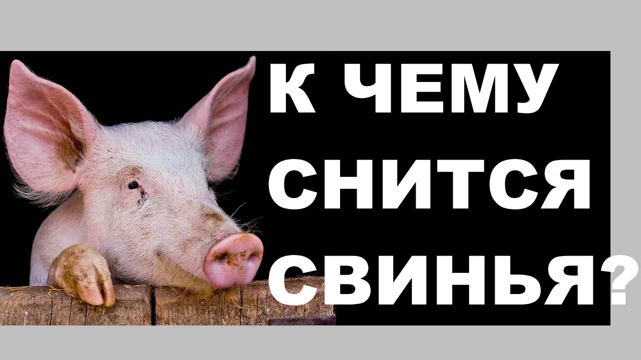 Сонник мясо свинины: к чему снится и что означает сон?
