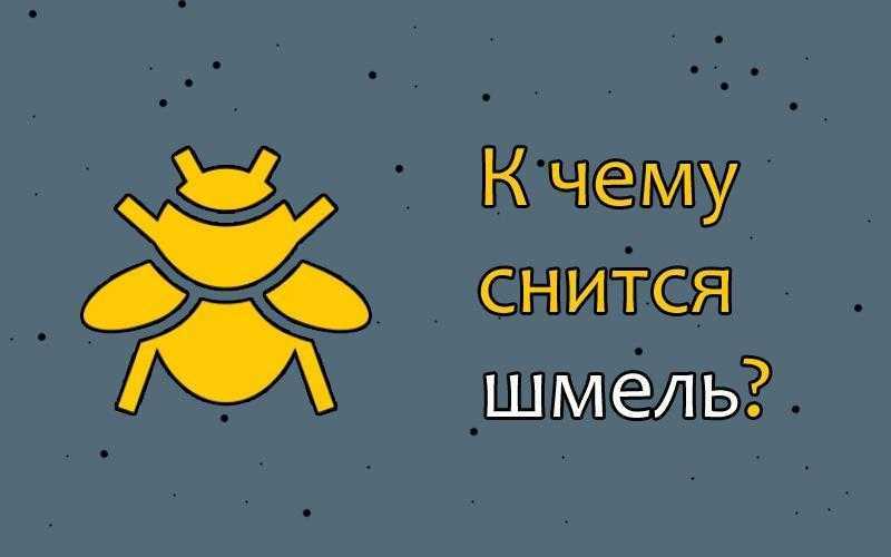 К чему снится шмель в сновидениях?