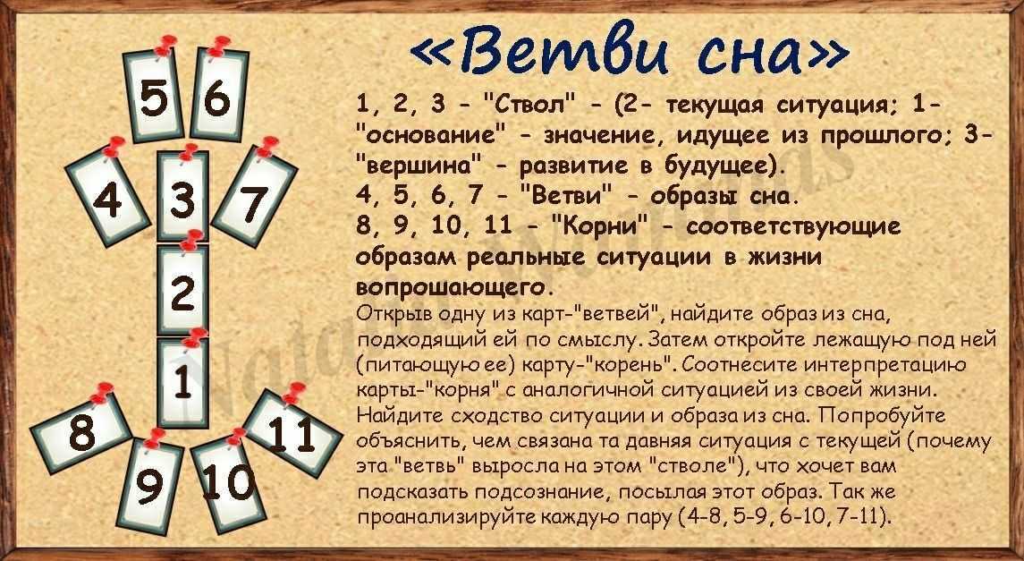 Сонник колода карт таро. к чему снится колода карт таро видеть во сне - сонник дома солнца