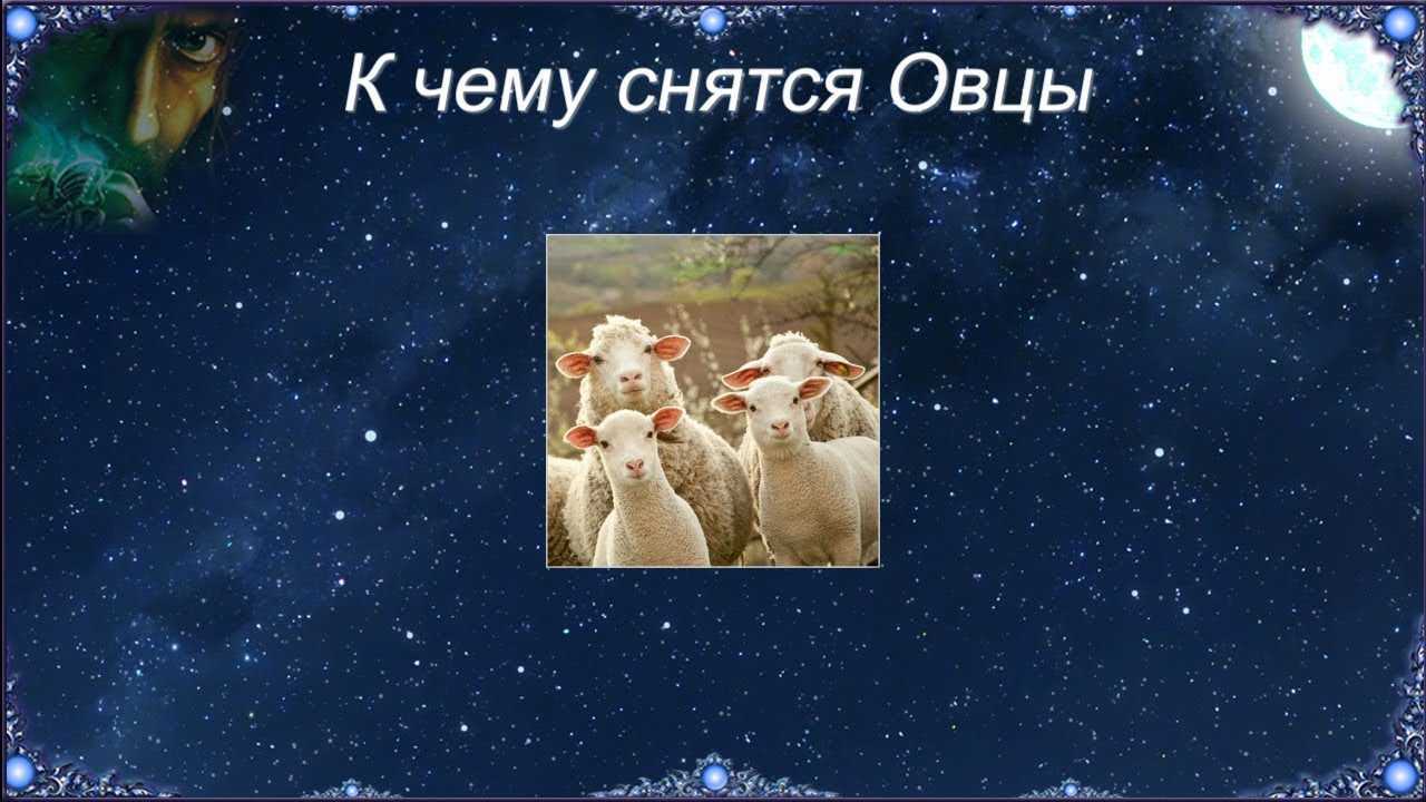 К чему снится баран: живой, черный, белый, мертвый, большой, стадо, с рогами, голова, нападает, резать, есть, стричь, пасти, убегать