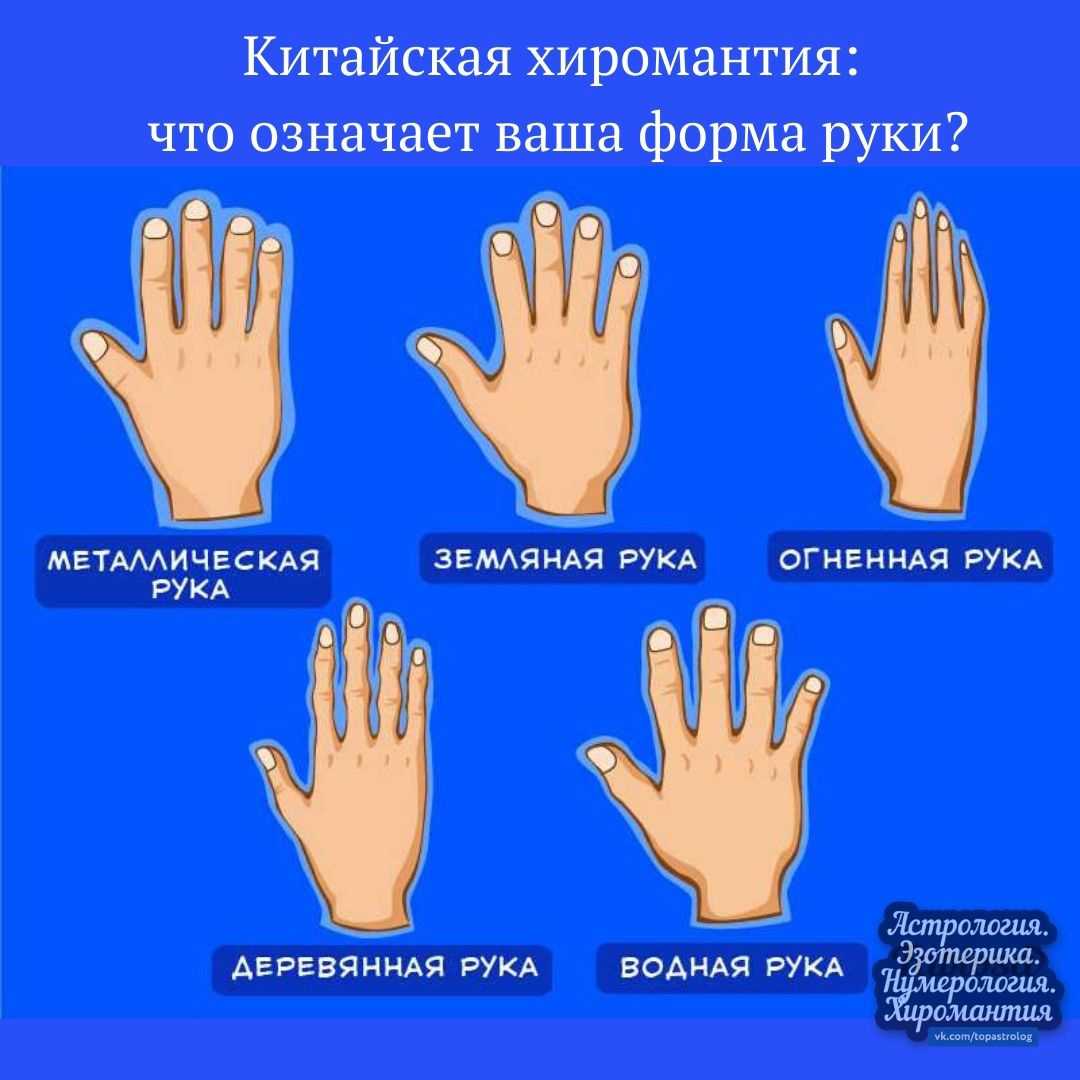 Значение пальцев руки в хиромантии - сайт магических практик и эзотерики