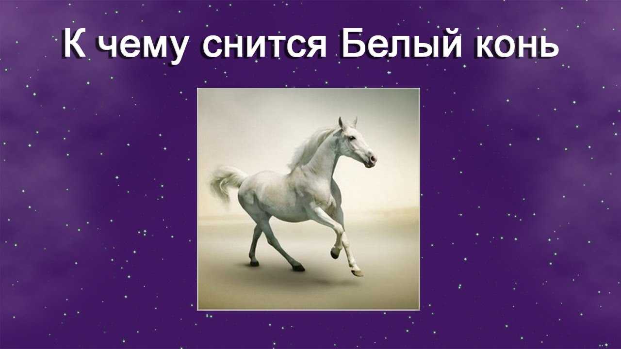 К чему снится конь - значение сна конь по соннику