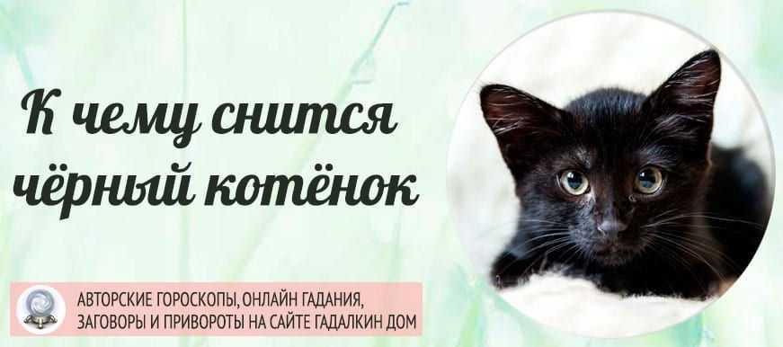 К чему снится  рвота во сне — по 90 сонникам! если видишь во сне рвота что значит?