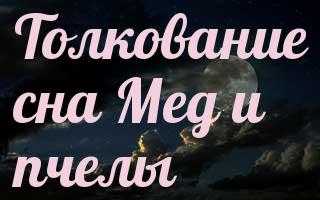К чему снится мед