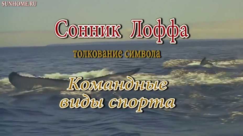 Сонник онлайн — толкование снов и сновидений