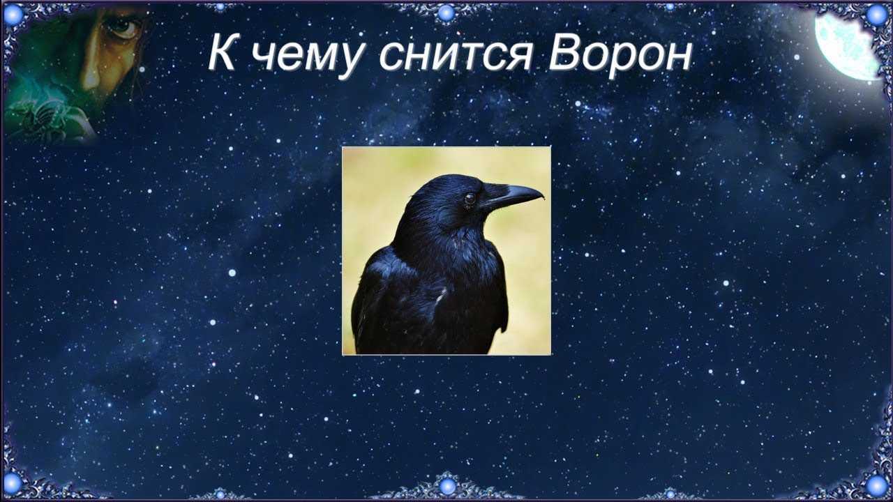 Птица с птенцами