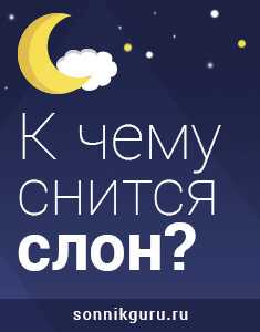 К чему снится слон? толкование по 64 сонникам