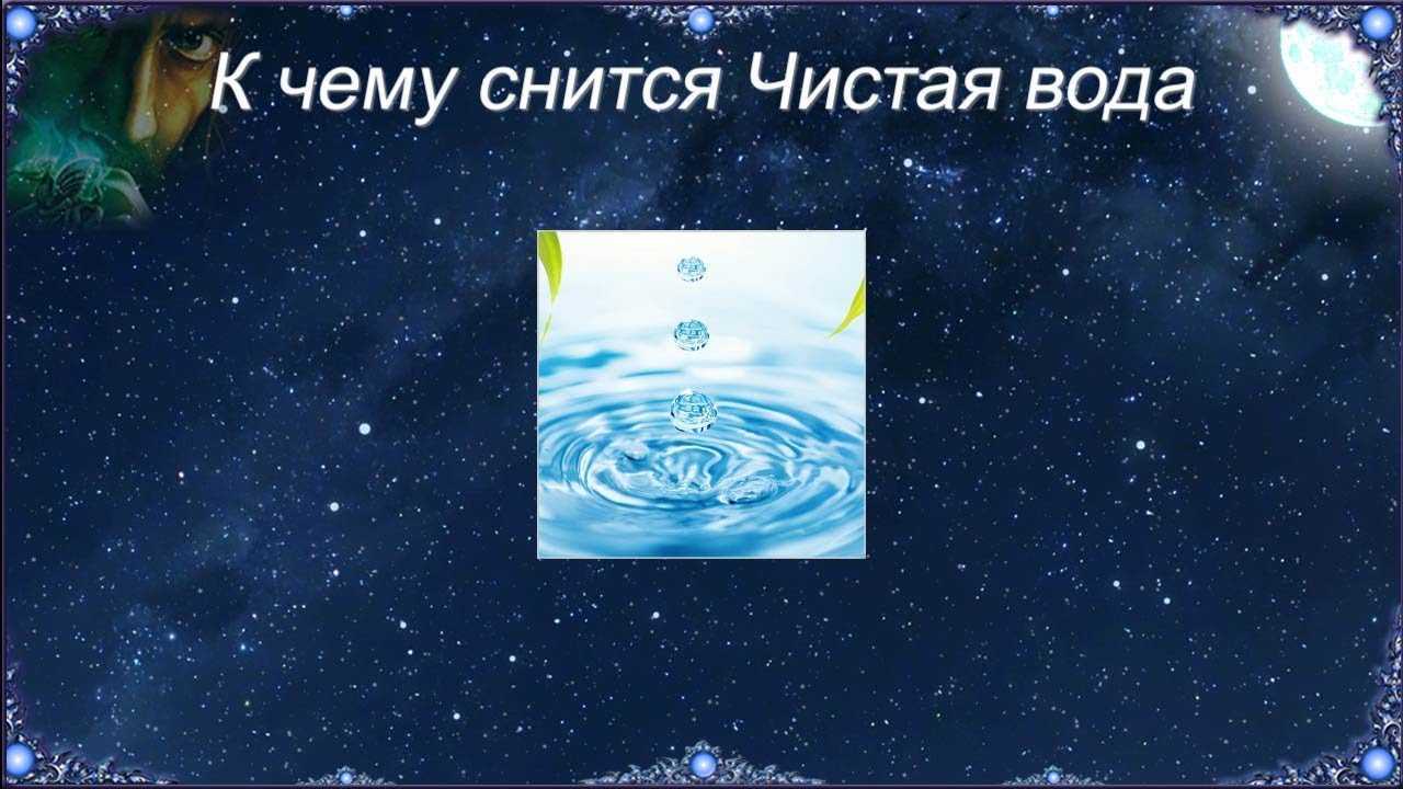 Сонник раковина: к чему снится и что означает сон?