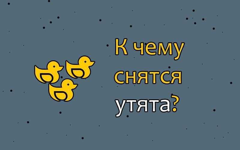 К чему снятся утки: белые, черные, живые, домашние, дикие, с утятами, мертвые, жареные, на воде, в доме, кормить, ловить, охота, есть