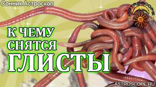 К чему снятся черви: толкования по 34 сонникам