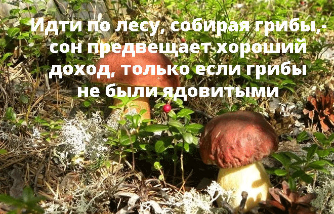 К чему снятся грибы женщине, сонник – грибы женщине во сне