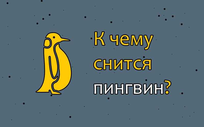 Сонник белые пингвины. к чему снится белые пингвины видеть во сне - сонник дома солнца