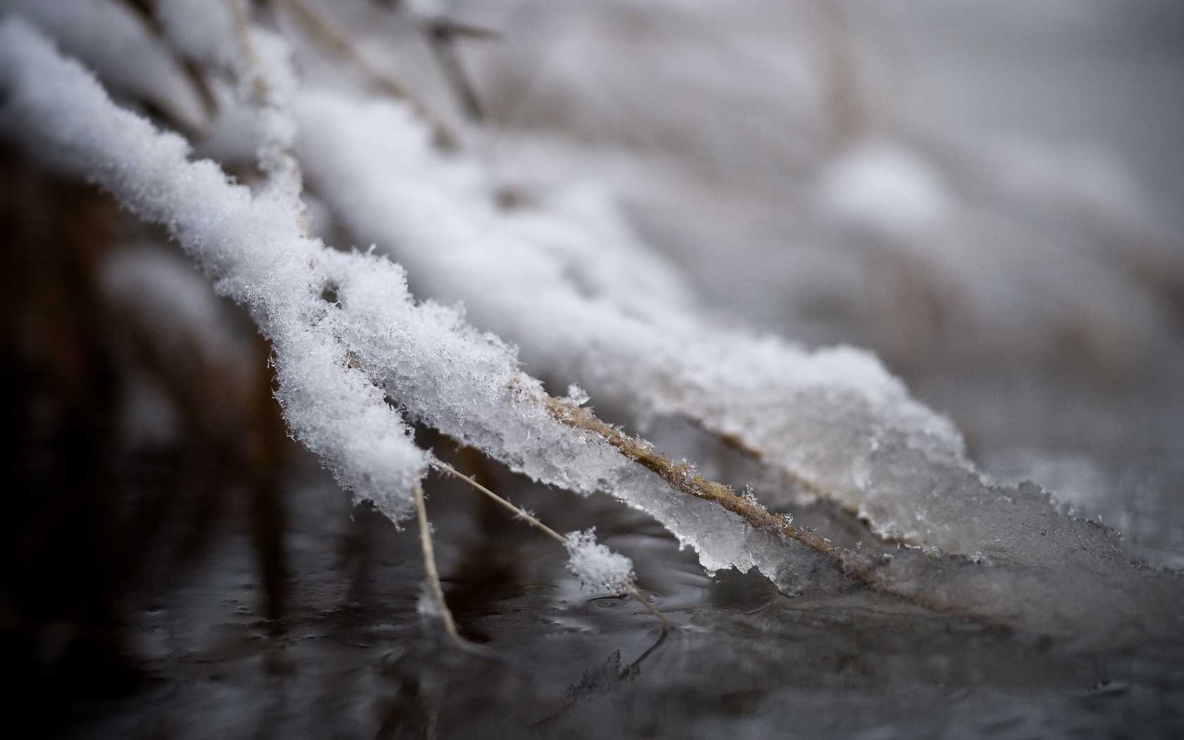 Сонник вода изза оттепели. к чему снится вода изза оттепели видеть во сне - сонник дома солнца