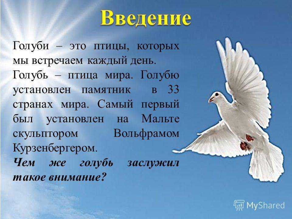 К чему снятся голуби
