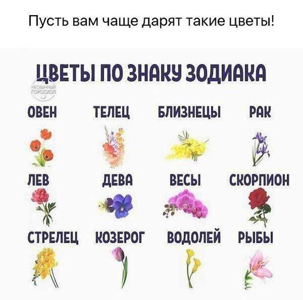 Гороскоп льва цветы комнатные