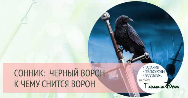 Увиденный образ вороны во сне, что он может означать?