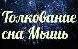 Большая мышь