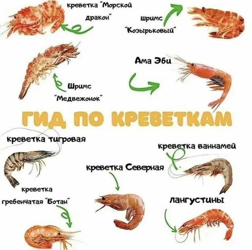 К чему снятся креветки по сонникам фрейда, цветкова, миллера и лоффа