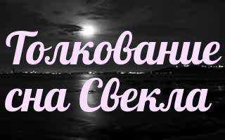 К чему снится  свекла во сне — по 90 сонникам! если видишь во сне свекла что значит?