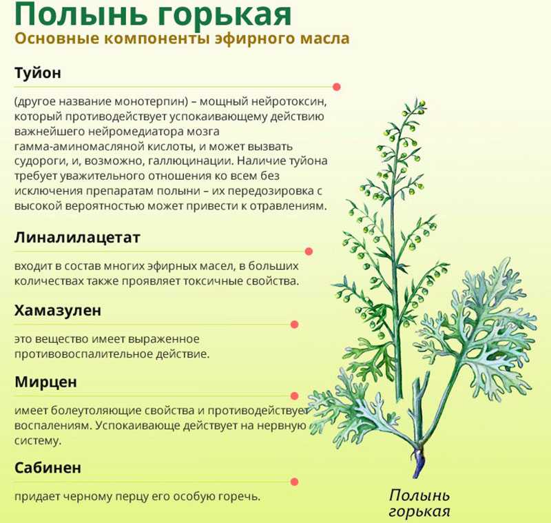 «растение к чему снится во сне? если видишь во сне растение, что значит?»
