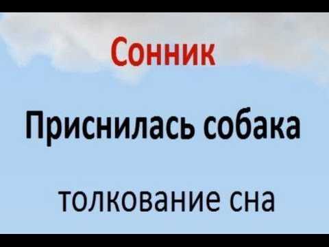 Почему людям снятся злые собаки