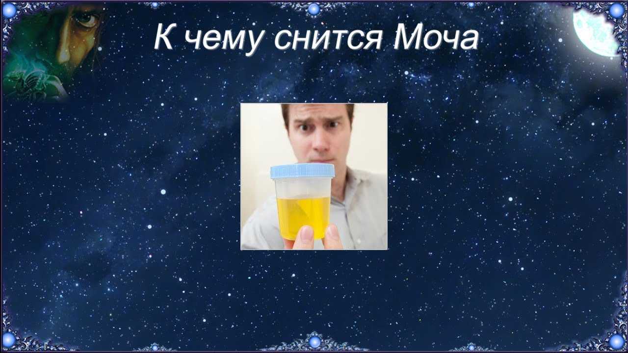 Сонник детский горшок: к чему снится и что означает сон?