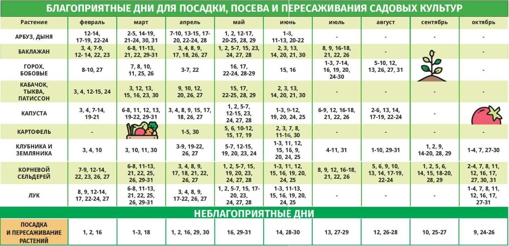 Благоприятные дни для дел и бизнеса в августе 2023 - астромагия