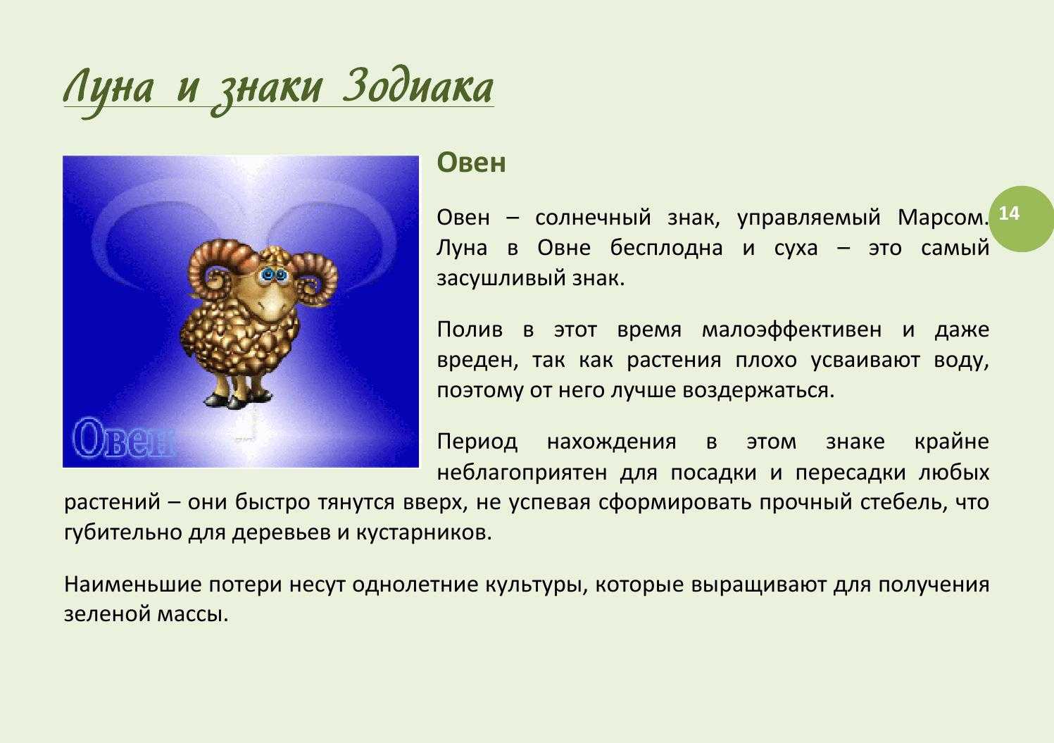 Овен гороскоп на завтра для женщины: самый точный прогноз на 2023 год