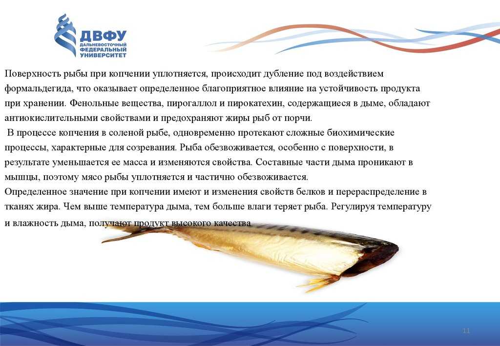 К чему снится приснилось кушать копченую рыбу, приснилось кушать копченую рыбу во сне