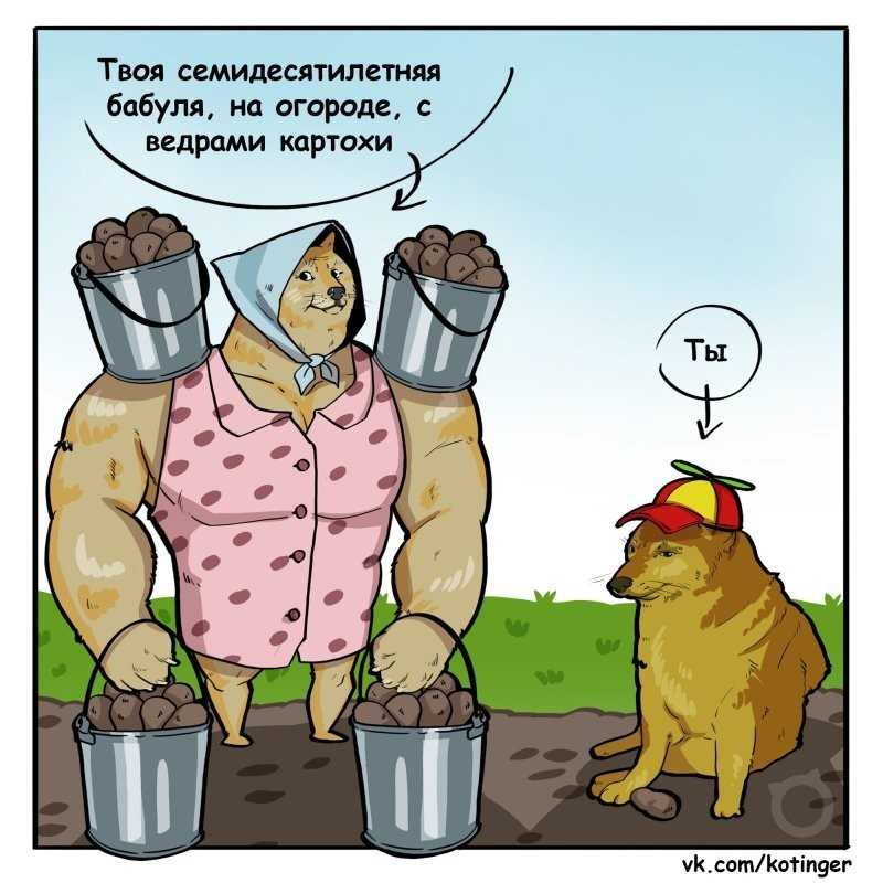 Приснилось много домашних животных. к чему приснились животные? сонник дмитрия и надежды зимы