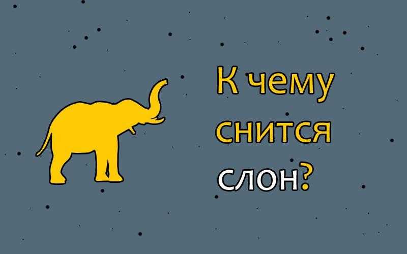 К чему снится слоненок и слоны 🐘: топ 40 сонников ❗ с толкованиями сна для женщины и мужчины, что означает, если приснился маленький или большой слоник девушке