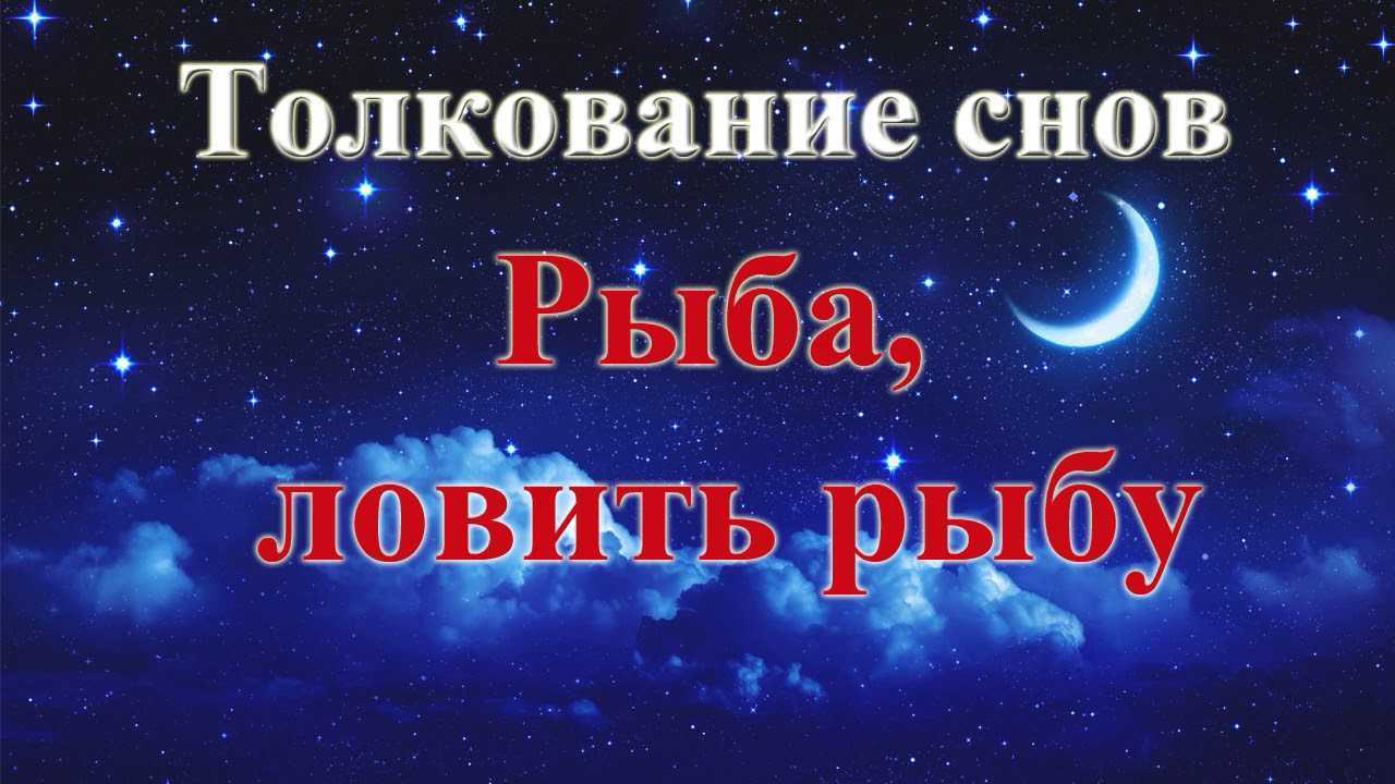 Сонник хвост у человека  приснился, к чему снится хвост у человека во сне видеть?
