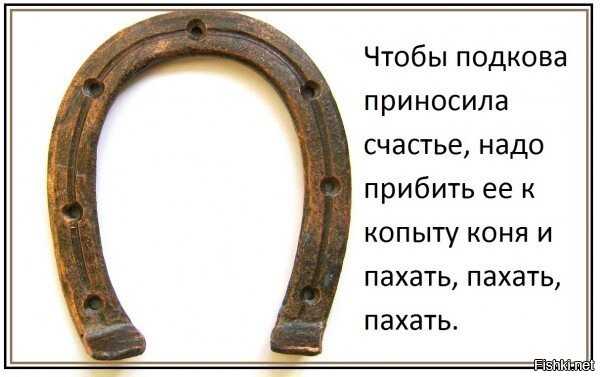 Приснилось что меряю себе золотую подкову. к чему снится подкова? толкователь супругов зима
