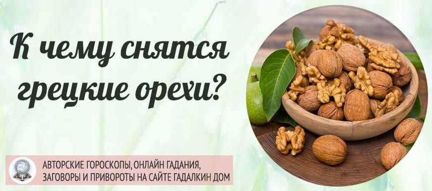 К чему снится грецкий орех. видеть во сне грецкий орех - сонник дома солнца