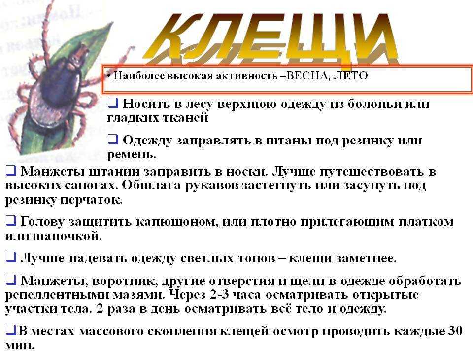 К чему снятся клещи, сонник – клещи во сне