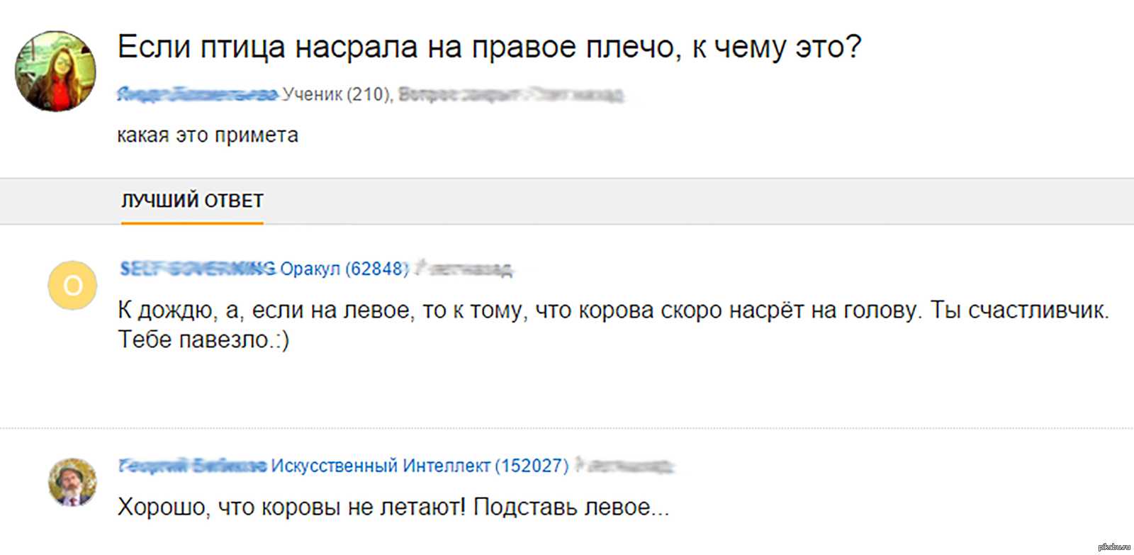 Приснилось что птица накакала на голову