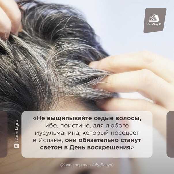 О чем расскажет сонник, если приснилась новая прическа