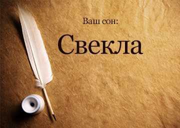 «свекла к чему снится во сне? если видишь во сне свекла, что значит?»