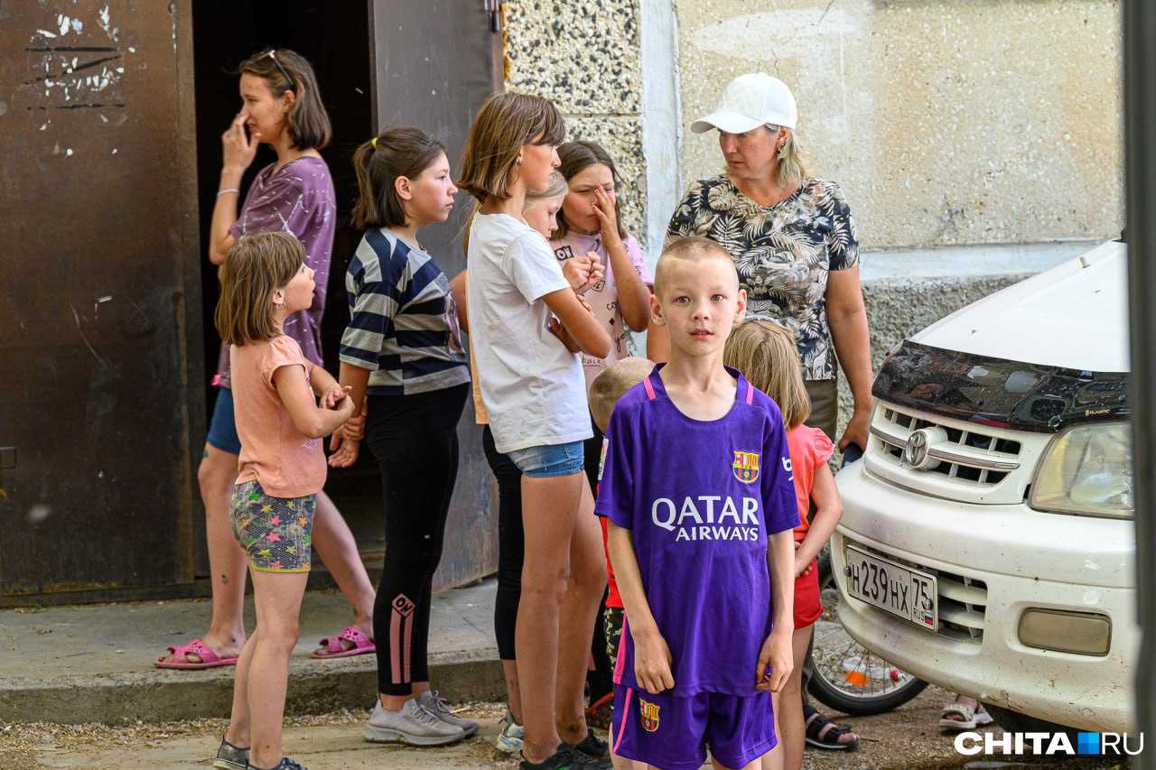 Что означает, если собака привязалась на улице или прибилась к дому