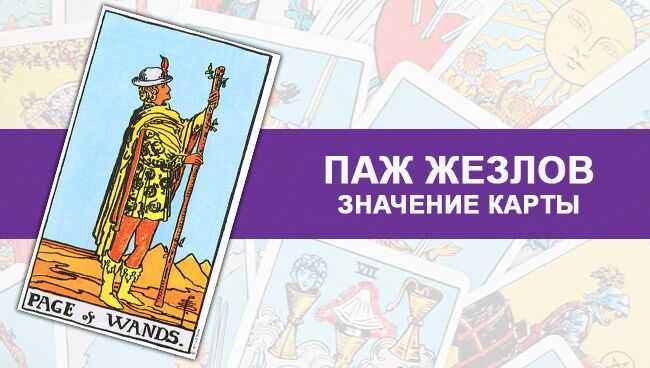 Паж жезлов в таро: значение и толкование карты