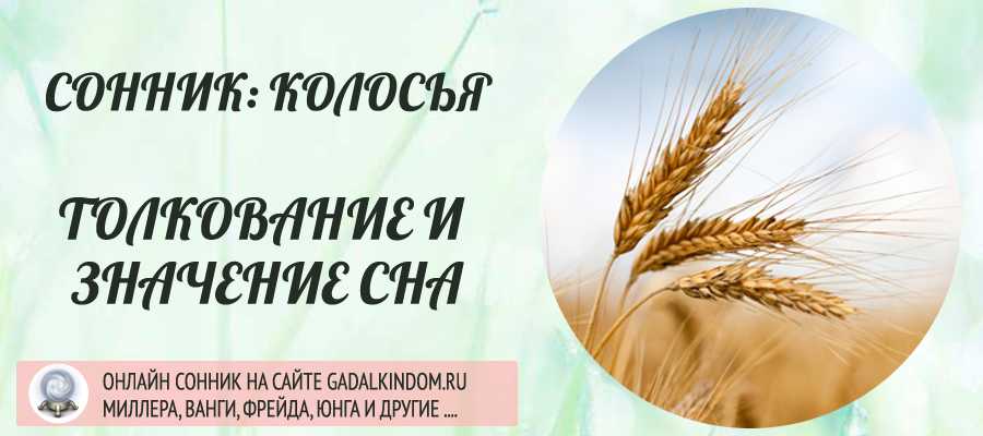 К чему снится  зерно во сне — по 90 сонникам! если видишь во сне зерно что значит?