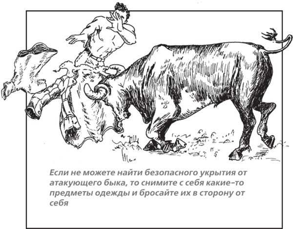 К чему снится корова: значение по сонникам