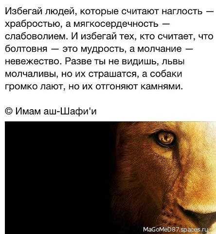 Сонник лев  приснился, к чему снится лев во сне видеть?