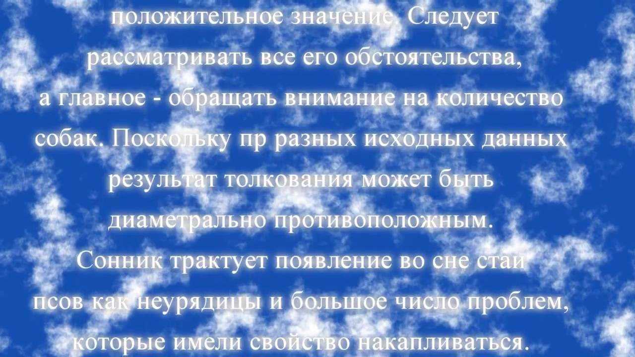 К чему женщине или девушке снятся собаки: толкование по сонникам