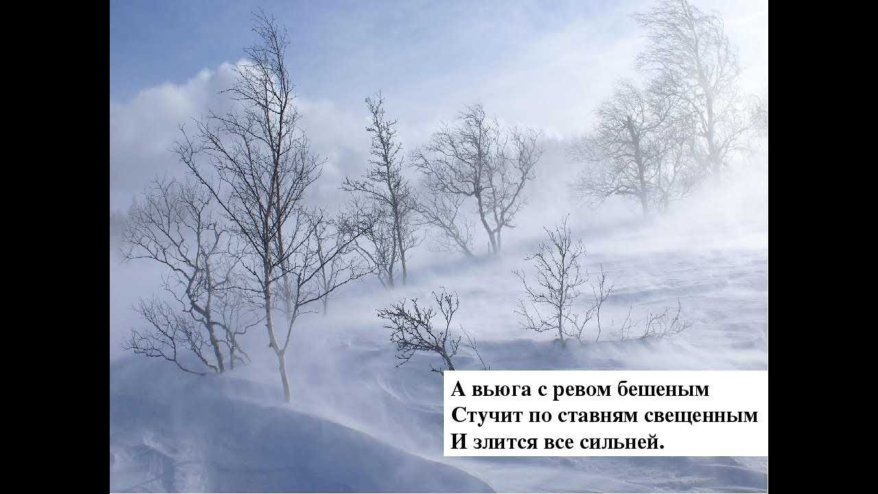Ливень и метель